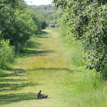Seevilla Wietjes Whg 7 Baltrum Buitenkant foto