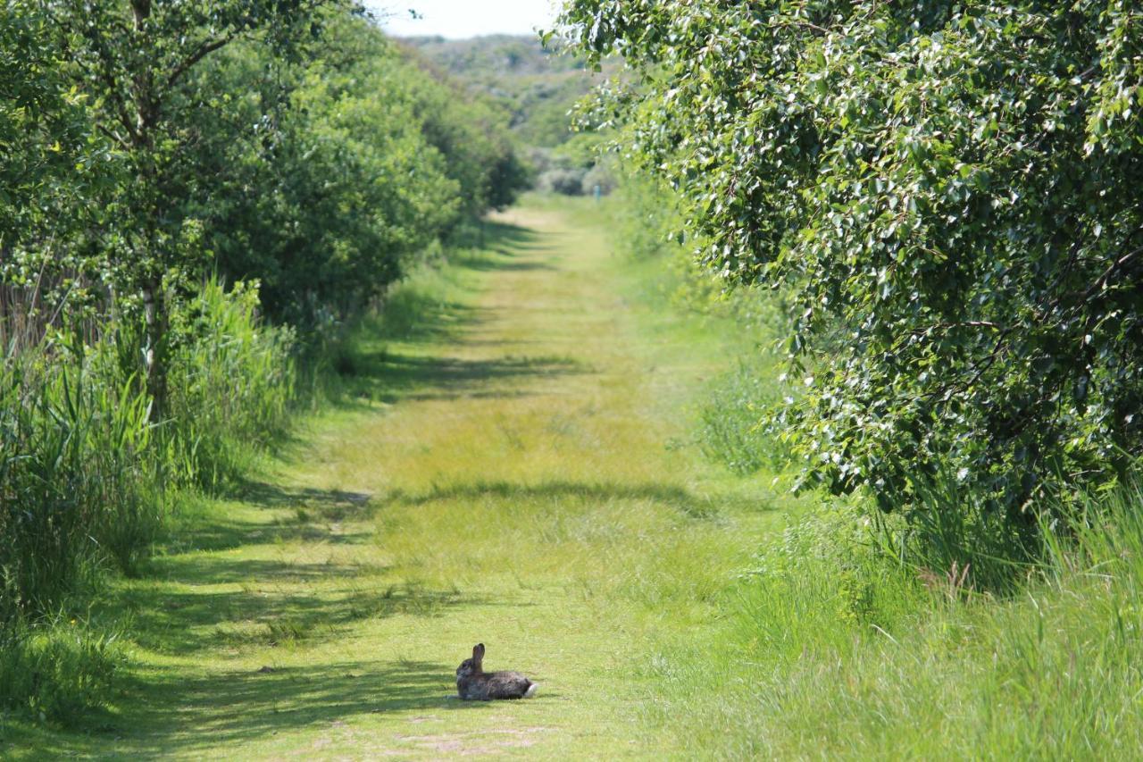 Seevilla Wietjes Whg 7 Baltrum Buitenkant foto