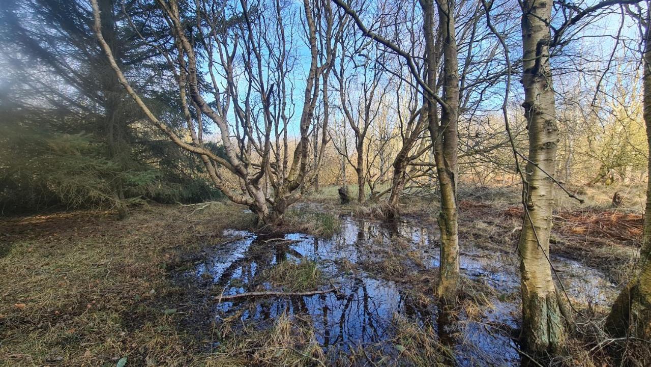 Seevilla Wietjes Whg 7 Baltrum Buitenkant foto